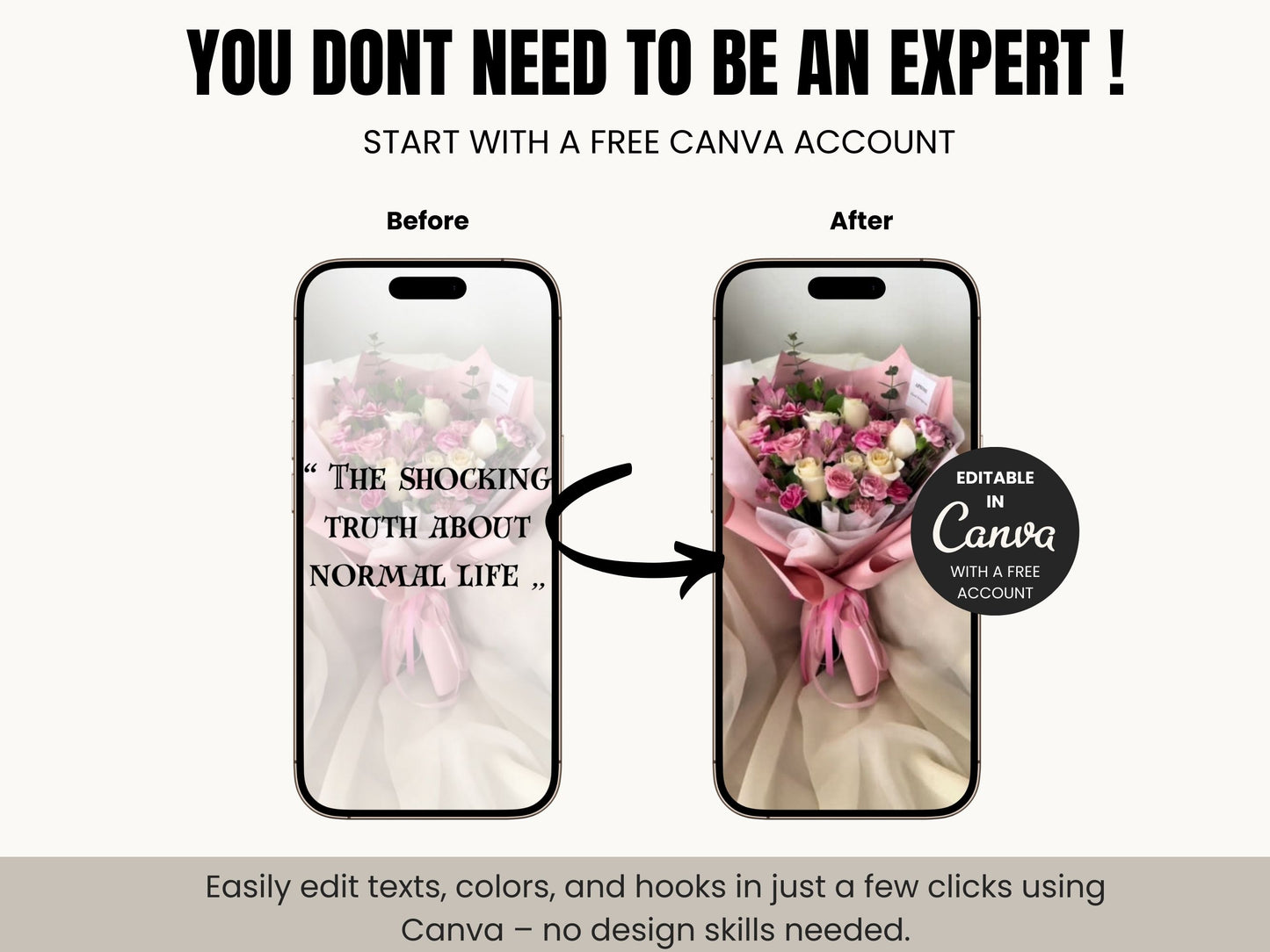 2,000+ Faceless Video Reels | PLR and MRR