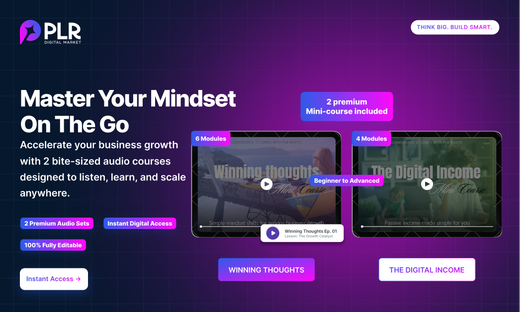 Entrepreneur Mindset +Mini Audio
