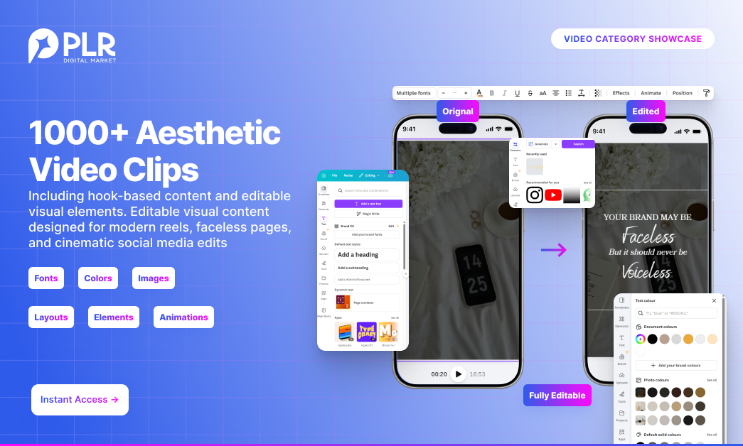 2000+ High Performing Videos