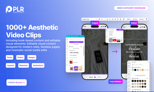 2000+ High Performing Videos